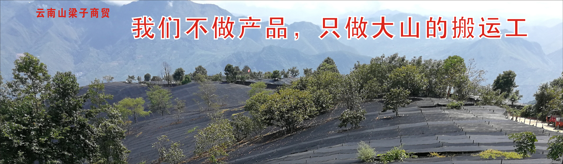 幻灯片二
